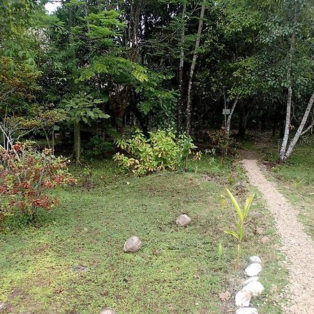 Yaxche Jungle Camp Good Living Camp Room photo