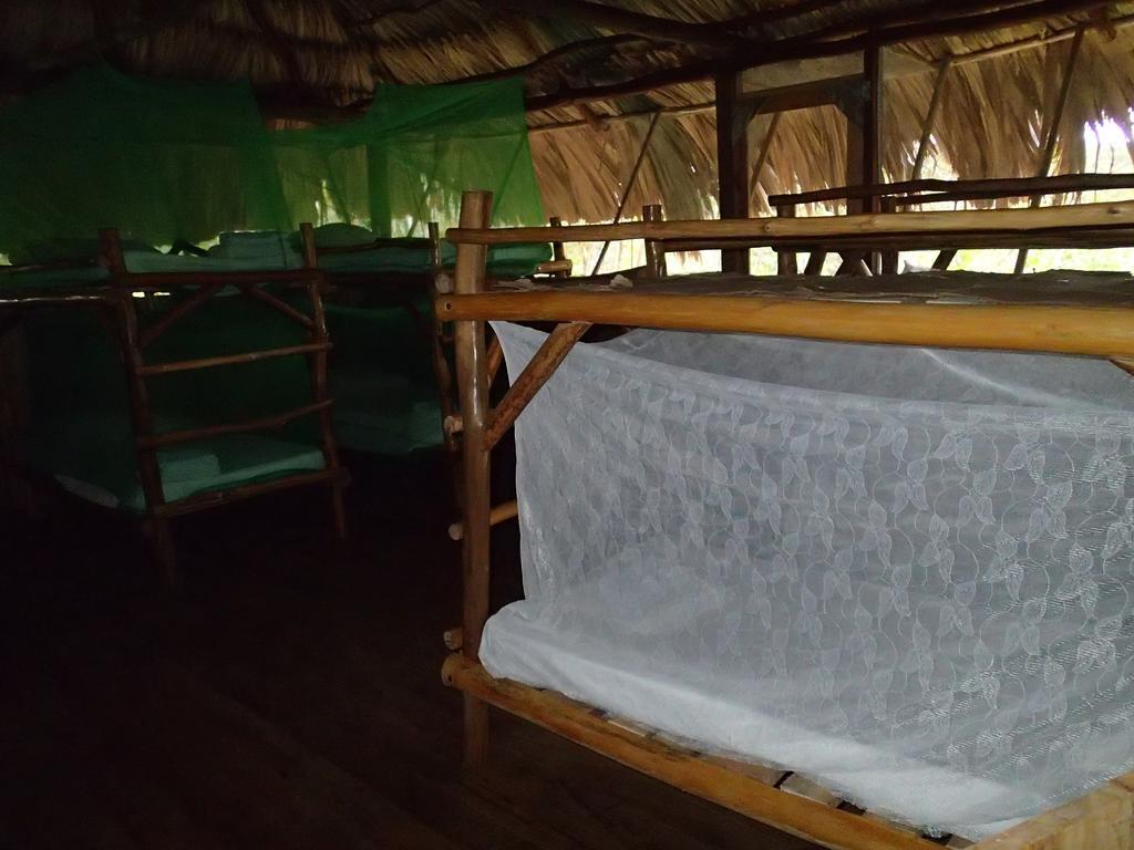 Yaxche Jungle Camp Good Living Camp Room photo