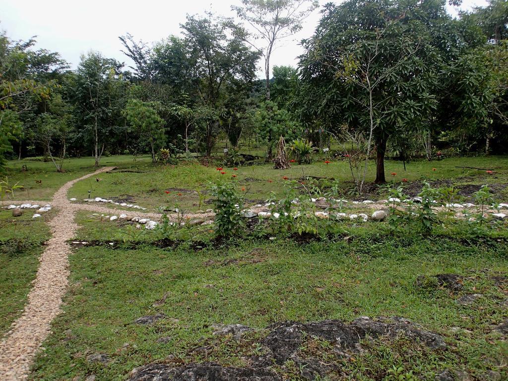 Yaxche Jungle Camp Good Living Camp Room photo
