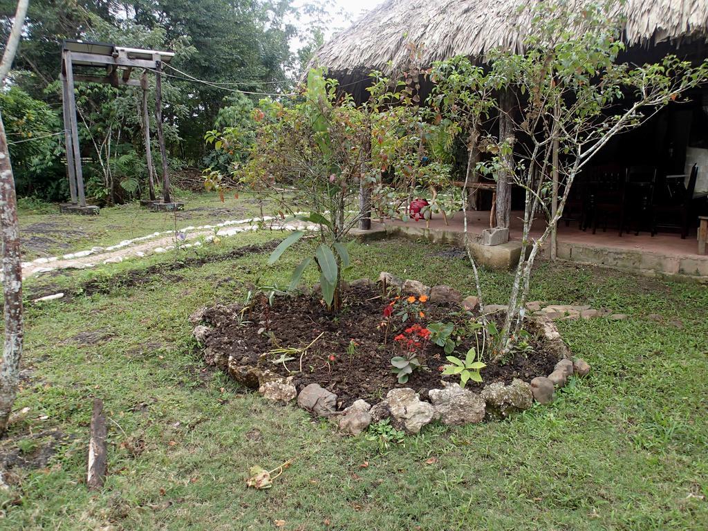 Yaxche Jungle Camp Good Living Camp Room photo