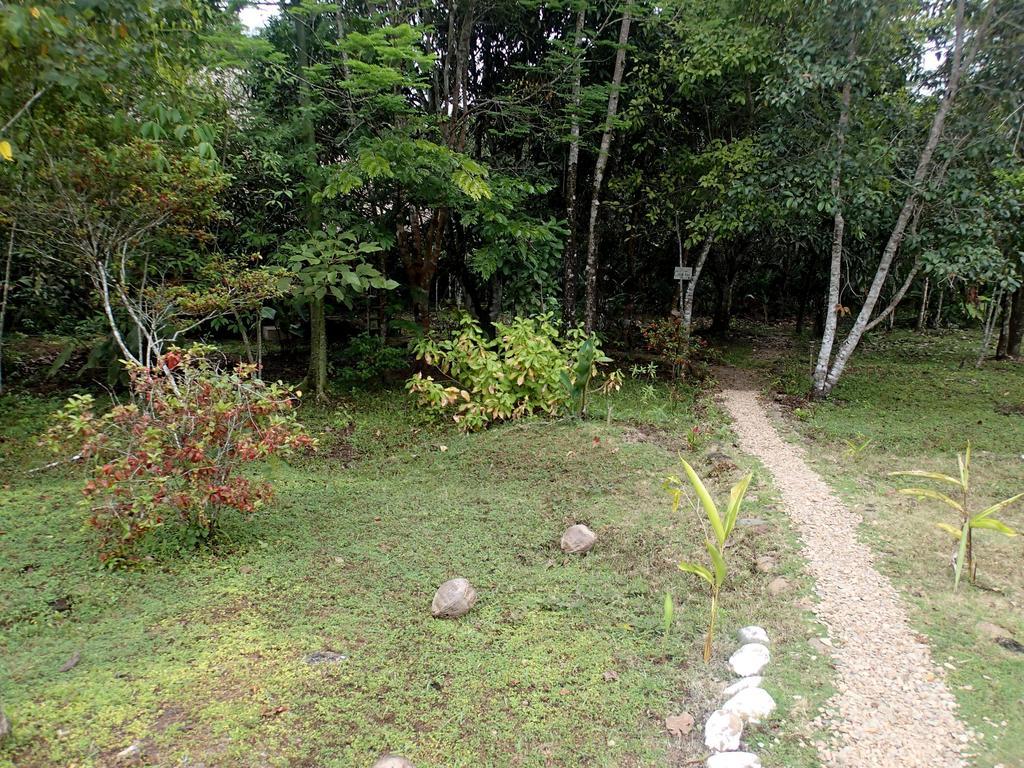 Yaxche Jungle Camp Good Living Camp Room photo